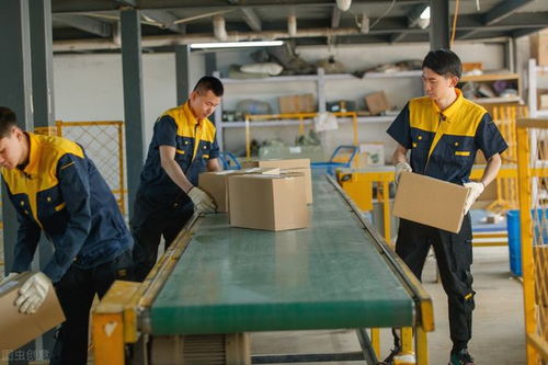 進(jìn)工廠還是送外賣(mài) 哪個(gè)更賺錢(qián)？年輕人如何選擇